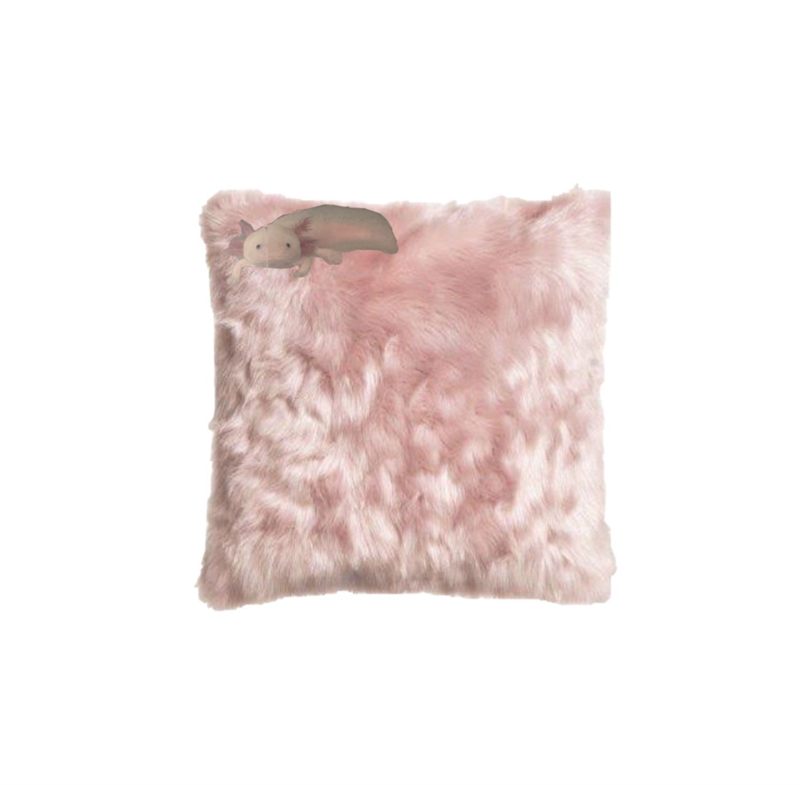 Bloop Peek Pillow - Bloop Hut merch placeholder